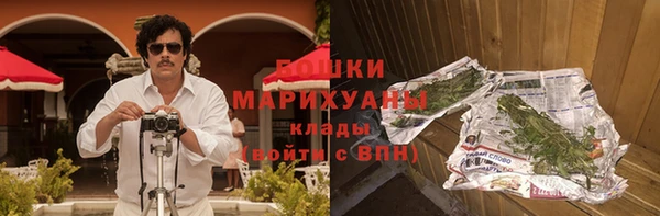 прущие грибы Приозерск