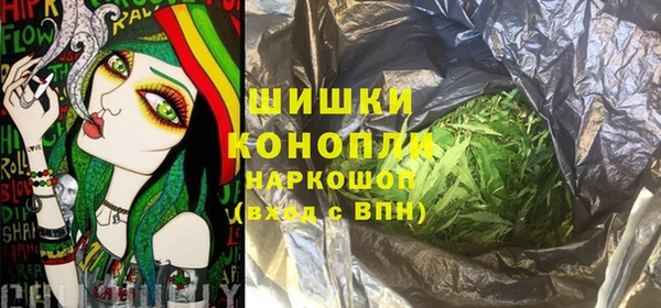 шишки Алексин