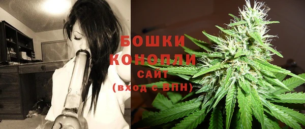 шишки Алексин