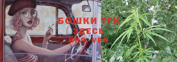 гидра Алексеевка