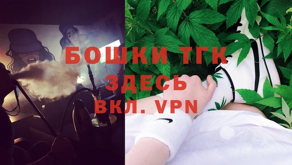 гидра Алексеевка