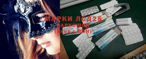 гидра Алексеевка