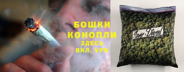 гидропоника Алзамай