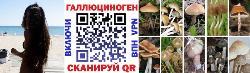 Галлюциногенные грибы Cubensis  дарнет шоп  Кашин 