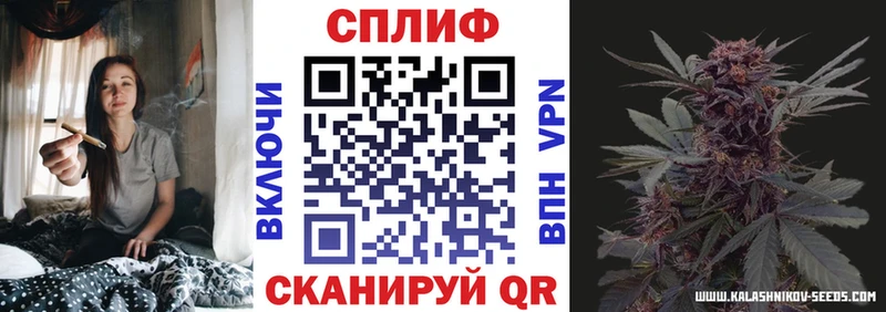 купить наркотик Кашин мега Шишки марихуана план